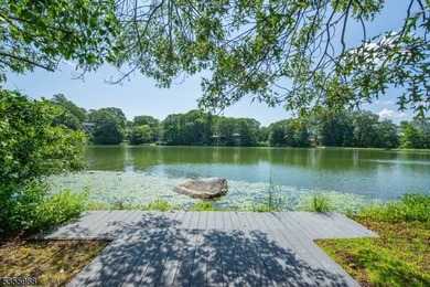Step into this European-inspired lakefront masterpiece, built in - photo 41
