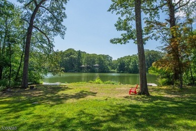 Step into this European-inspired lakefront masterpiece, built in - photo 42