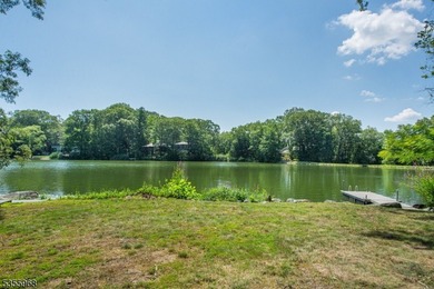 Step into this European-inspired lakefront masterpiece, built in - photo 43