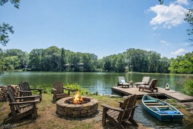 Step into this European-inspired lakefront masterpiece, built in - photo 44