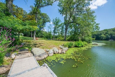 Step into this European-inspired lakefront masterpiece, built in - photo 45