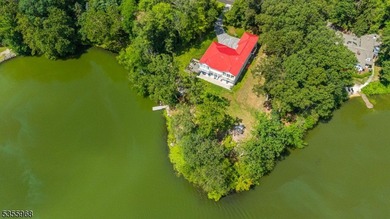 Step into this European-inspired lakefront masterpiece, built in - photo 46