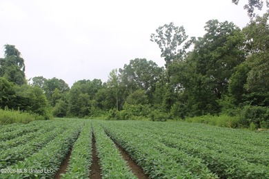 38.9 acres of vacant land located on Allen Corner Road in Benton - photo 2