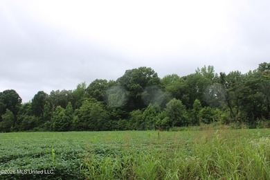 38.9 acres of vacant land located on Allen Corner Road in Benton - photo 3