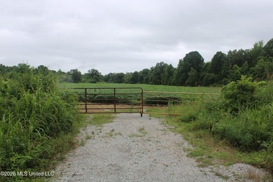 38.9 acres of vacant land located on Allen Corner Road in Benton - photo 4