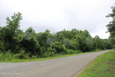 38.9 acres of vacant land located on Allen Corner Road in Benton - photo 6