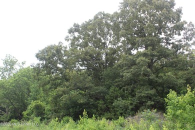 38.9 acres of vacant land located on Allen Corner Road in Benton - photo 7
