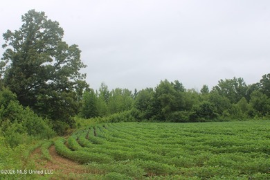 38.9 acres of vacant land located on Allen Corner Road in Benton - photo 9