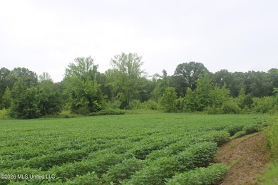 38.9 acres of vacant land located on Allen Corner Road in Benton - photo 10