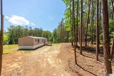 Two lots, 2.76 acres, and 95 feet of water frontage on Lake - photo 3