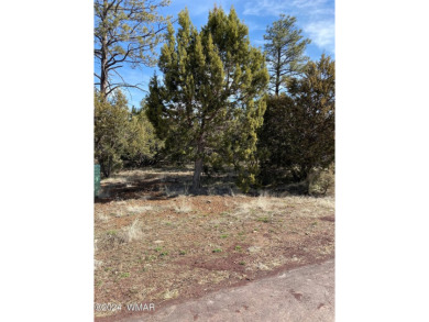 Lake Lot For Sale in Lakeside, Arizona