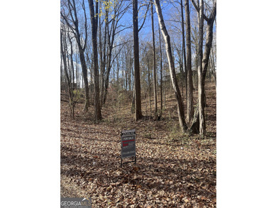 Lake Lot For Sale in Gainesville, Georgia