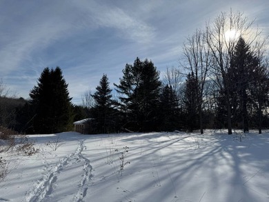 Whether looking for a building lot for your future home, a - photo 4