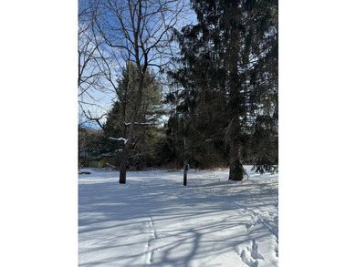 Whether looking for a building lot for your future home, a - photo 9