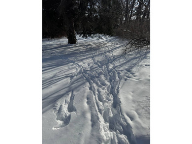 Whether looking for a building lot for your future home, a - photo 10