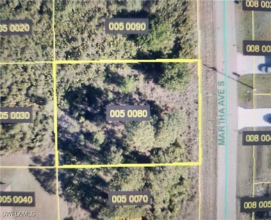 Lehigh Acres Area Lot For Sale in Lehigh Acres Florida