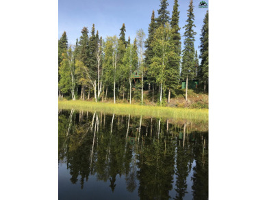 Lake Home For Sale in Manley, Alaska