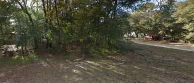 Lake Lot For Sale in Interlachen, Florida