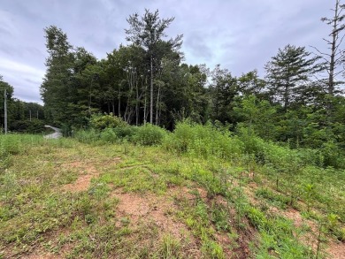 Lake Lot For Sale in Nantahala, North Carolina