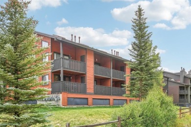 Dillon Reservoir Condo For Sale in Frisco Colorado