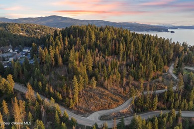 Coeur d Alene Lake Acreage For Sale in Coeur d Alene Idaho