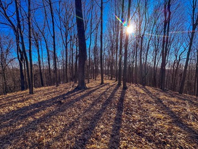 Lake Acreage For Sale in Waverly, West Virginia