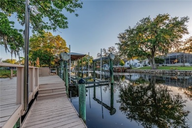 Experience the Ultimate Florida lifestyle in this stunning - photo 1