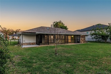 Experience the Ultimate Florida lifestyle in this stunning - photo 4