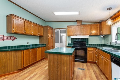 LOCATION! LOCATION! LOCATION! Just minutes from Pell City and - photo 9