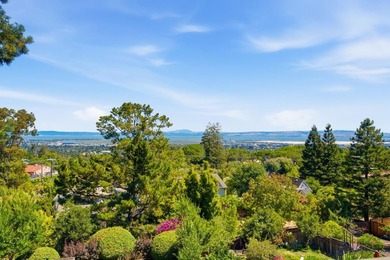 Perched on a picturesque Emerald Hills street, this beautifully - photo 37