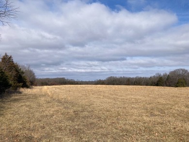 (private lake, pond, coastal) Acreage For Sale in Iberia Missouri