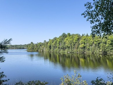 Chaney Lake Acreage For Sale in Bessemer Michigan