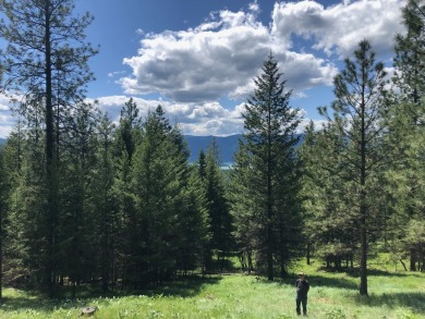 Lake Acreage For Sale in Libby, Montana