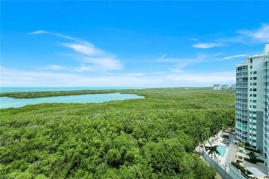 Sweeping Gulf and Bay views set the stage for this beautifully - photo 34