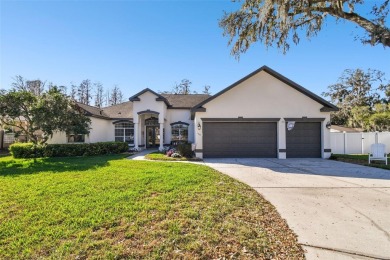 Lake Home For Sale in Lutz, Florida