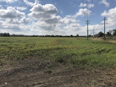 (private lake, pond, coastal) Commercial For Sale in Tupelo Mississippi