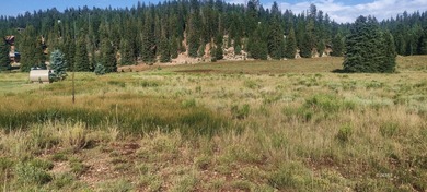 (private lake, pond, creek) Lot For Sale in Duck Creek Utah