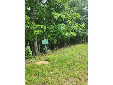 Lake Hiwassee Lot For Sale in Murphy North Carolina