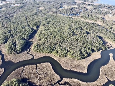 This versatile & divisible waterfront tract with quick access to - photo 5