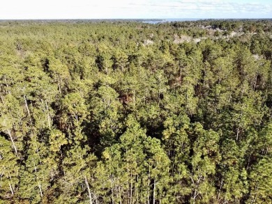 This versatile & divisible waterfront tract with quick access to - photo 8
