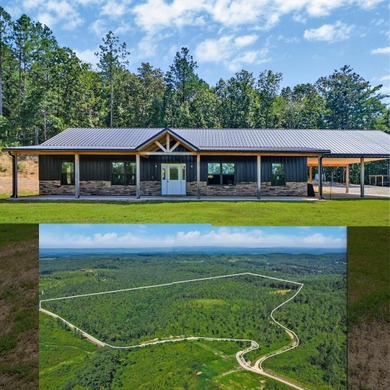 Lake Home For Sale in Ten Mile, Tennessee