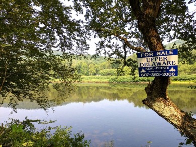Lake Lot For Sale in Fishes Eddy, New York