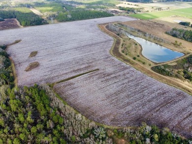 This versatile riverfront development land is located in the - photo 4