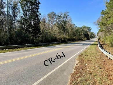 This versatile riverfront development land is located in the - photo 5