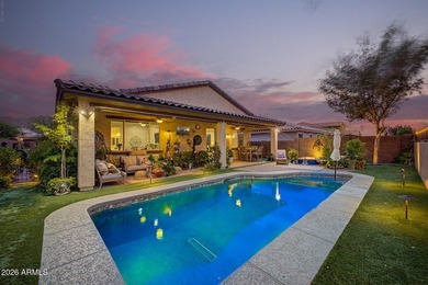 PROPERTY AMENITIES: Pool chiller system (2021), pool heater - photo 6
