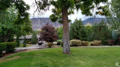 Owner/Agent, Do Not Disturb Tenants, No HOA, Bring Your Own - photo 14