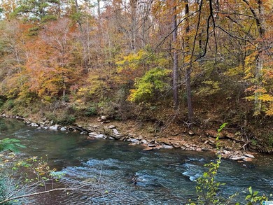 Rare estate on nearly two private acres with 312' of Cahaba - photo 10