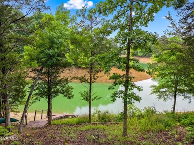 MOTIVATED SELLER: Experience the ultimate mountain-and-lake - photo 33