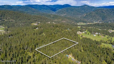 Rare opportunity to own one of the most elevated, private - photo 11