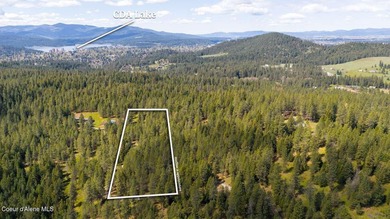 Rare opportunity to own one of the most elevated, private - photo 14
